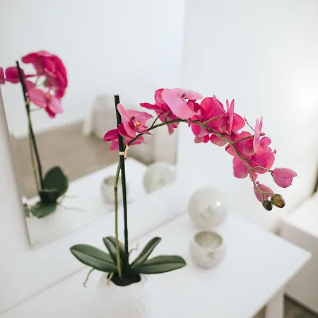 Globo Хостел Шибеник