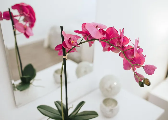 Globo Hostel Šibenik